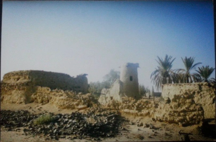 قصر الشيخ سلطان بن عبدالله بن سلطان (العلا)؛ في رويضة العرض